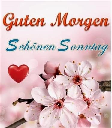Schönen Sonntag Sprüche Bilder Gb Bilder Gb Pics