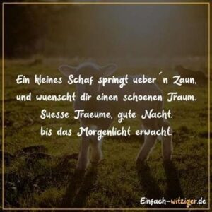 schöne gute nacht bilder und sprüche