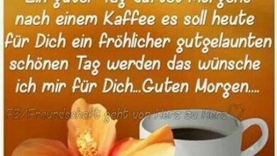 ᐅ schöne guten morgen bilder und sprüche - Guten Morgen GB Pics - GBPicsBilder