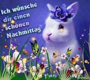 schönen montag nachmittag bilder