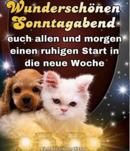 schönen sonntag abend bilder lustig