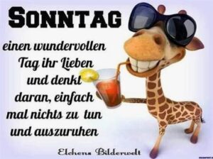 schönen sonntag bilder lustig