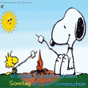 schönen sonntag nachmittag bilder kostenlos