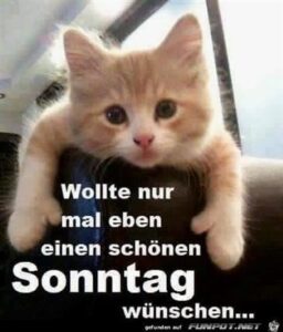 schöner sonntag bilder