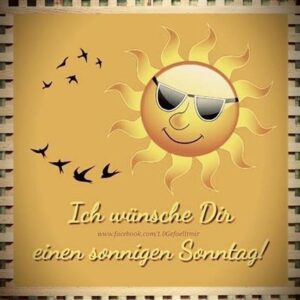 sonnigen sonntag bilder
