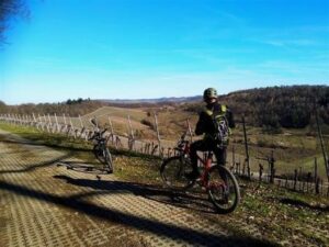 sonniger sonntag bilder
