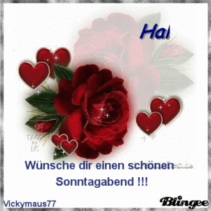 sonntag abend bilder
