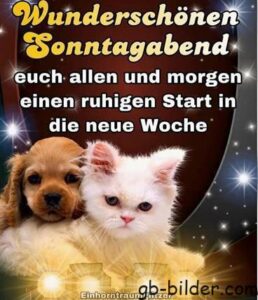 sonntag abend lustige bilder