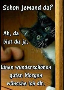 sonntag bilder lustig kostenlos