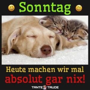 sonntag bilder