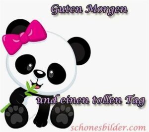 whatsapp bilder guten morgen