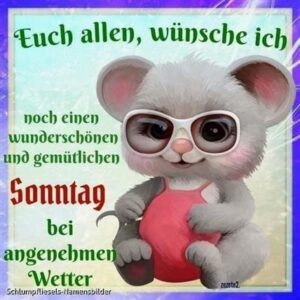 whatsapp bilder sonntag