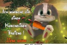 ᐅ 2. advent bilder lustig kostenlos - 2.Advent GB Pics - GBPicsBilder