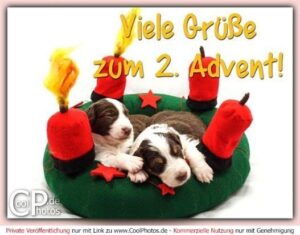 2. advent lustige bilder