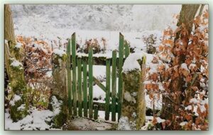 bilder 1 advent kostenlos