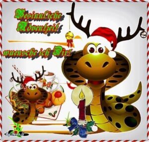 bilder 1 advent lustig