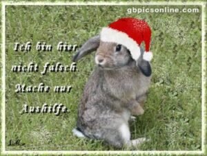 bilder 2. advent lustig