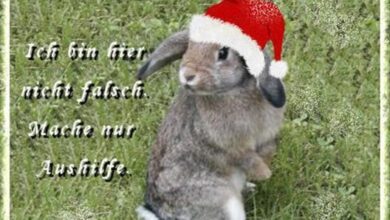 ᐅ bilder 2. advent lustig - Mittwoch GB Pics - GBPicsBilder