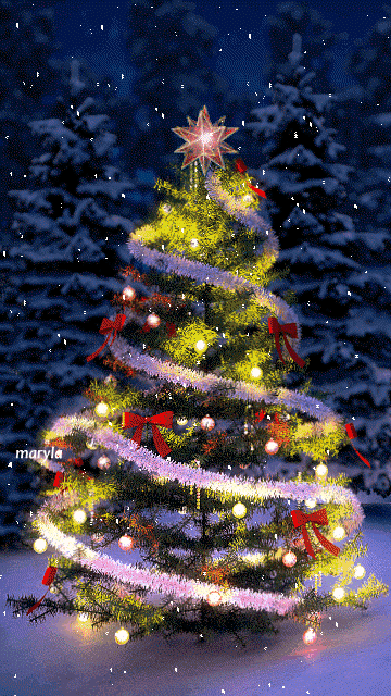 frohe-weihnachten-bilder-lustig_11