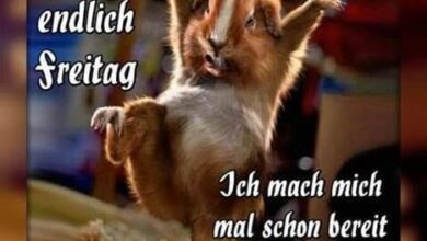 ᐅ guten morgen lustige bilder freitag - Guten Morgen GB Pics - GBPicsBilder