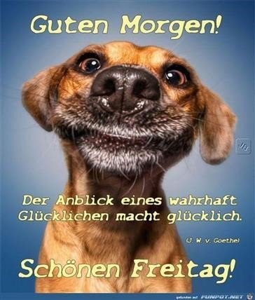 Guten Morgen Endlich Freitag Guten Morgen Endlich Freitag Schul Snacks Gesund