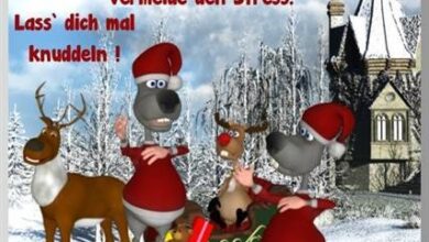 ᐅ lustige bilder 1. dezember - Dezember GB Pics - GBPicsBilder