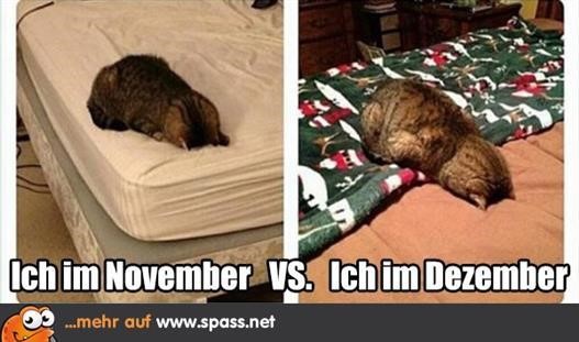 ᐅ lustige dezember bilder - Dezember GB Pics - GBPicsBilder lustige-dezember-bilder_7