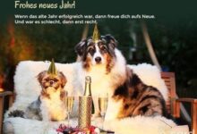 ᐅ silvestergrüße whatsapp - Silvester GB Pics - GBPicsBilder