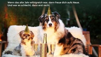 ᐅ silvestergrüße whatsapp - Feiertage und Anlasse GB Pics - GBPicsBilder