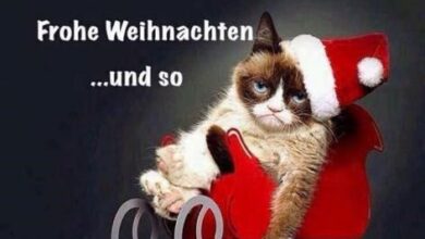 ᐅ weihnachten bilder lustig - Weihnachten GB Pics - GBPicsBilder