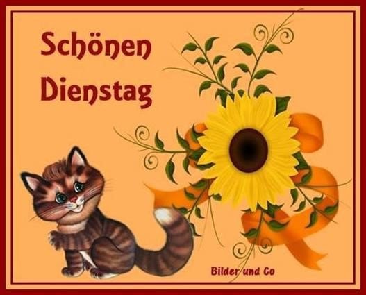 ᐅ dienstag bilder kostenlos - Dienstag GB Pics - GBPicsBilder Dienstag-Bilder-Kostenlos_6_1edca