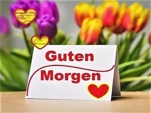 guten morgen dienstag bilder