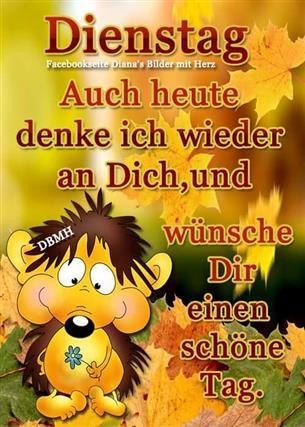 guten morgen dienstag