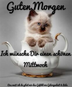 bilder zum mittwoch