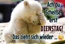 ᐅ dienstag lustig - Montag GB Pics - GBPicsBilder