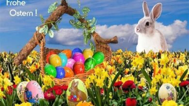 ᐅ frohe ostern grüße - Ostern GB Pics - GBPicsBilder