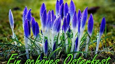 ᐅ frohes osterfest bilder - Ostern GB Pics - GBPicsBilder