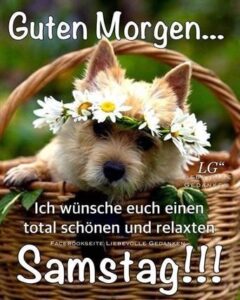 guten morgen schönen samstag