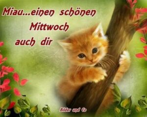 gästebuchbilder mittwoch
