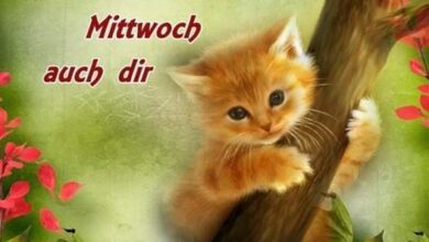 ᐅ gästebuchbilder mittwoch - Mittwoch GB Pics - GBPicsBilder