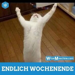 lustig wochenende