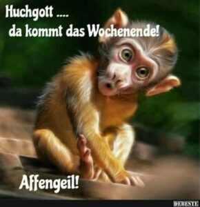 lustige bilder wochenende