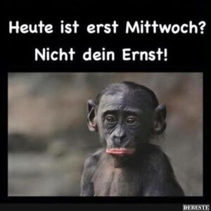 lustige bilder über mittwoch