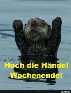 lustige wochenende bilder