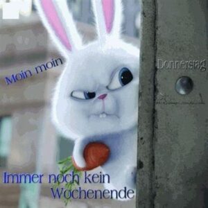 lustige wochenendgrüße