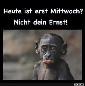 lustiger mittwoch