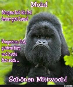 lustiges zum mittwoch