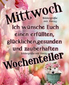 mittwoch fotos