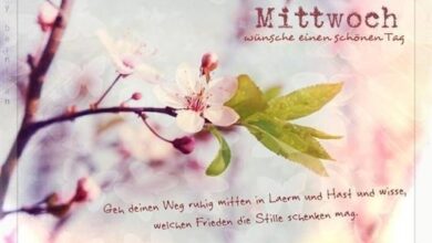 ᐅ mittwoch gb - Mittwoch GB Pics - GBPicsBilder