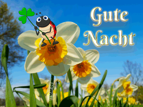 ᐅ mittwoch gifs gratis - Mittwoch GB Pics - GBPicsBilder mittwoch-gifs-gratis_28